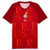 Oficiální Fotbalový Dres Ghana Pre-Match MS 2026 pro Muži Oficiální Fotbalový Dres Ghana Pre-Match MS 2026 pro Muži