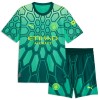 Oficiální Fotbalový Dres Brankářské Manchester City Domácí 2026-27 Zelená pro Děti