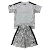 Oficiální Fotbalový Dres Brankářské Real Madrid 2026-27 Šedá pro Děti