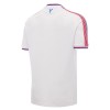 Oficiální Fotbalový Dres Crystal Palace Domácí 2026-27 pro Muži