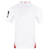 Oficiální Fotbalový Dres FSV Mainz 05 Hostující 2026-27 pro Muži