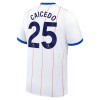 Oficiální Fotbalový Dres Chelsea Caicedo 25 Třetí 2026-27 pro Muži