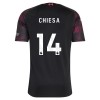Oficiální Fotbalový Dres Liverpool Chiesa 14 Třetí 2026-27 pro Muži